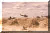 choppers.jpg (20842 bytes)